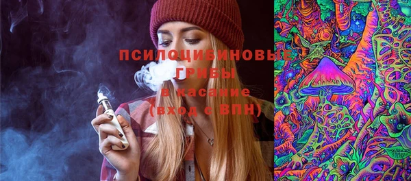 сатива Алексеевка