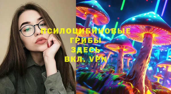 сатива Алексеевка
