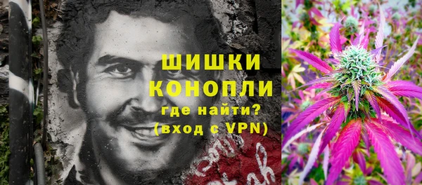 прущие грибы Абинск