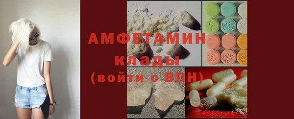 прущие грибы Абинск