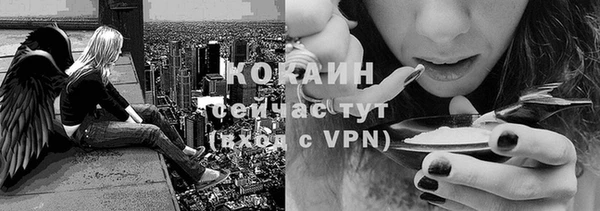 гашик Алзамай