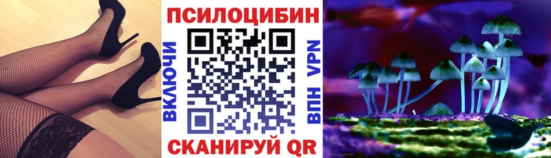 Псилоцибиновые грибы Psilocybine cubensis  KRAKEN ТОР  Шебекино 