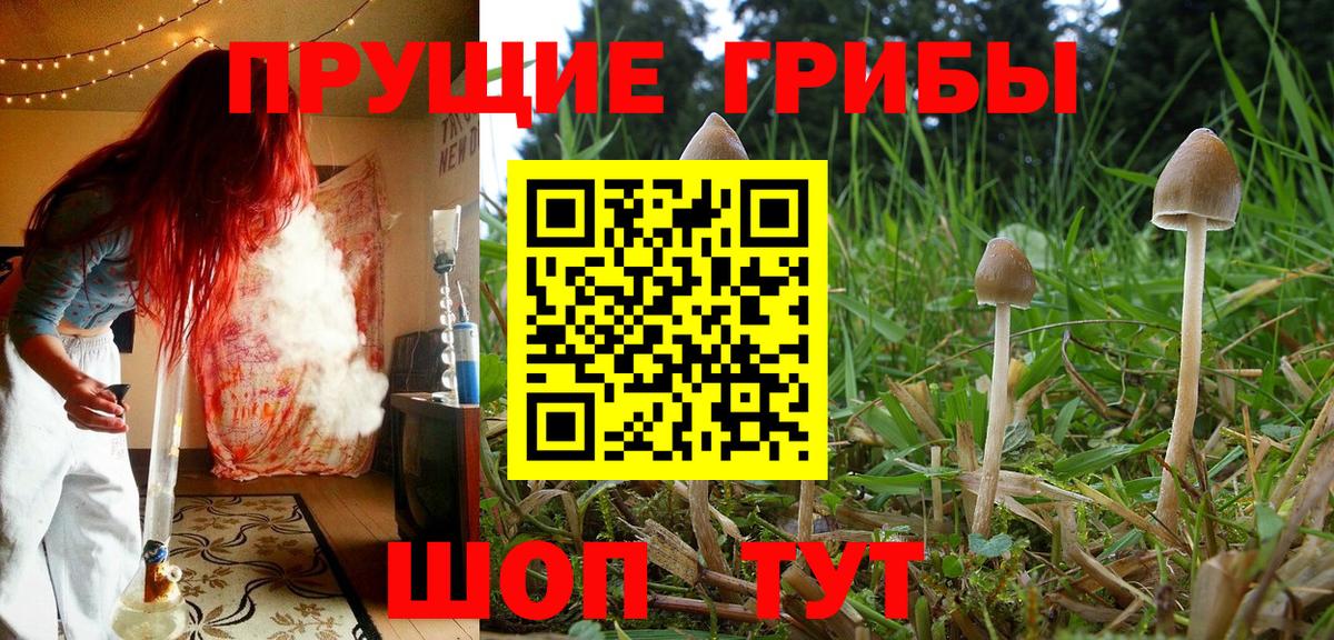Шебекино  Галлюциногенные грибы Magic Shrooms  Вход с VPN 