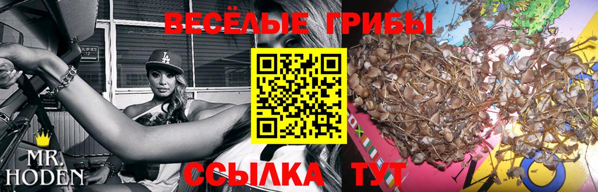 МЕФ  ГАШ  Шебекино  COCAIN  Бошки Шишки  Вход с VPN  Кокаин  Марихуана  Лсд 25  Гашиш  Меф МЯУ МЯУ кристаллы 